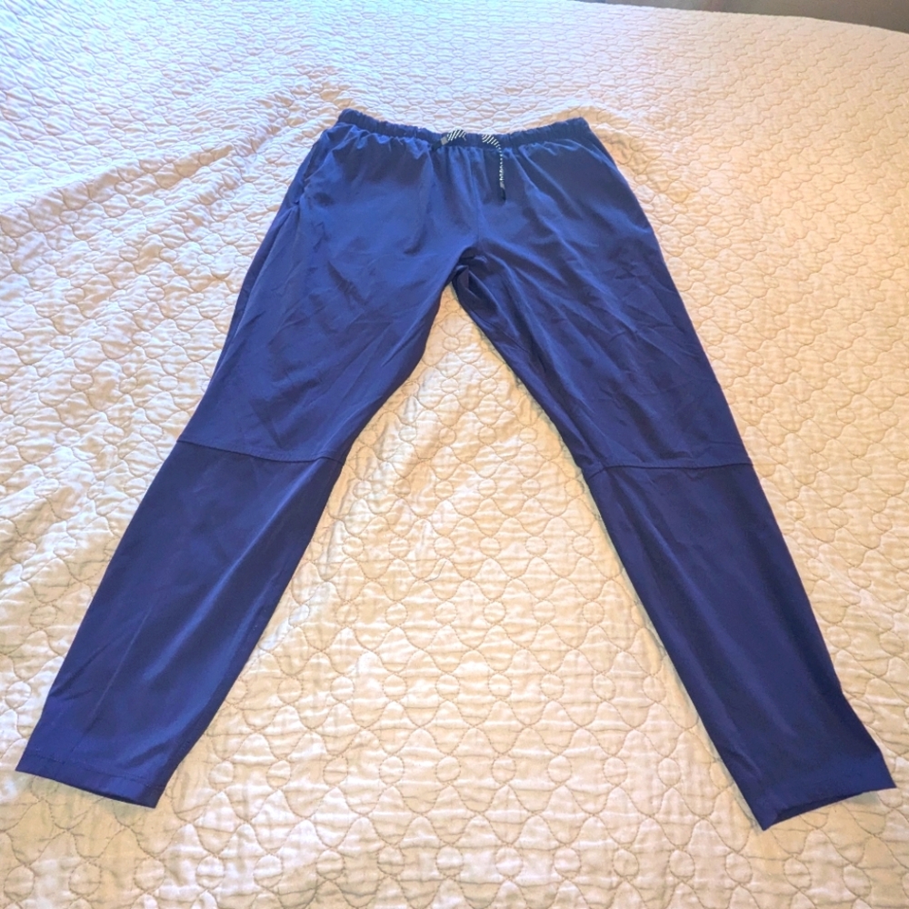 Fabletics men's athletic stretch pants L